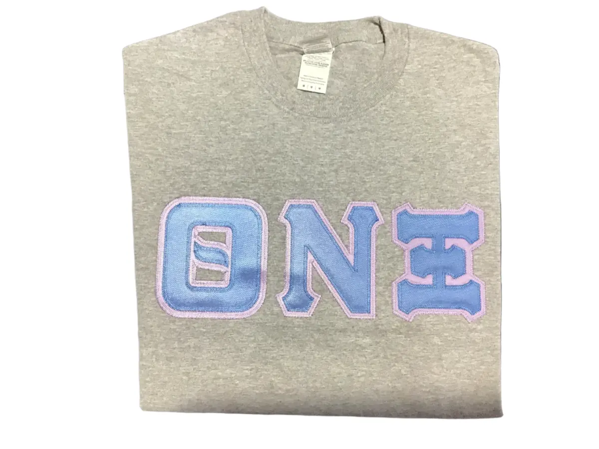 Theta Nu Xi Sport Gray Greek Tee 1