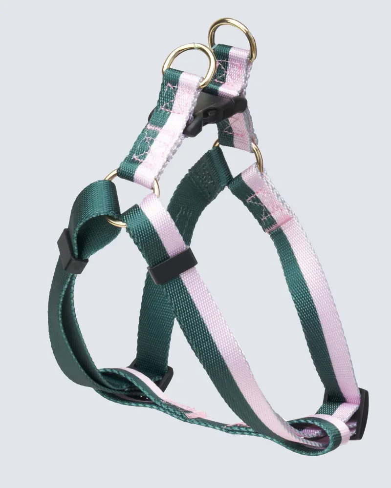 Stripe Adjustable Dog Harness (Final Sale) 1