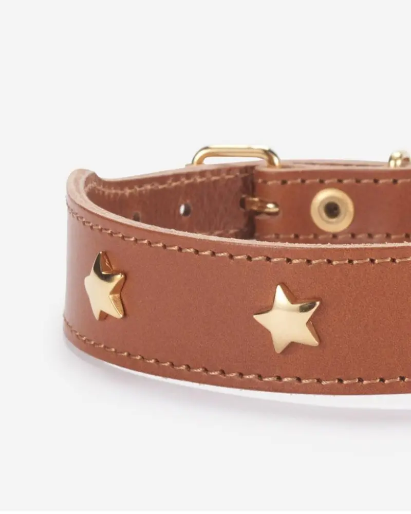 Cognac Leather Dog Collar With Brass Stars (Made In Italy) 1