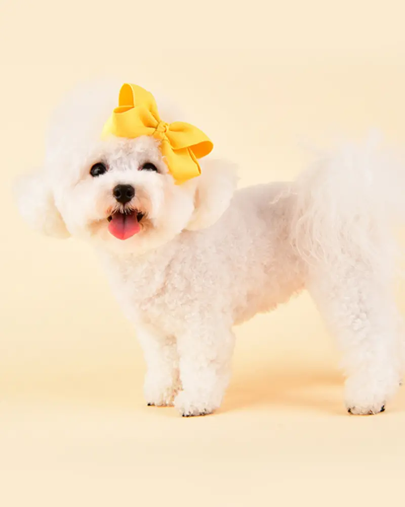 Princess Ribbon Dog Hair Bow 1