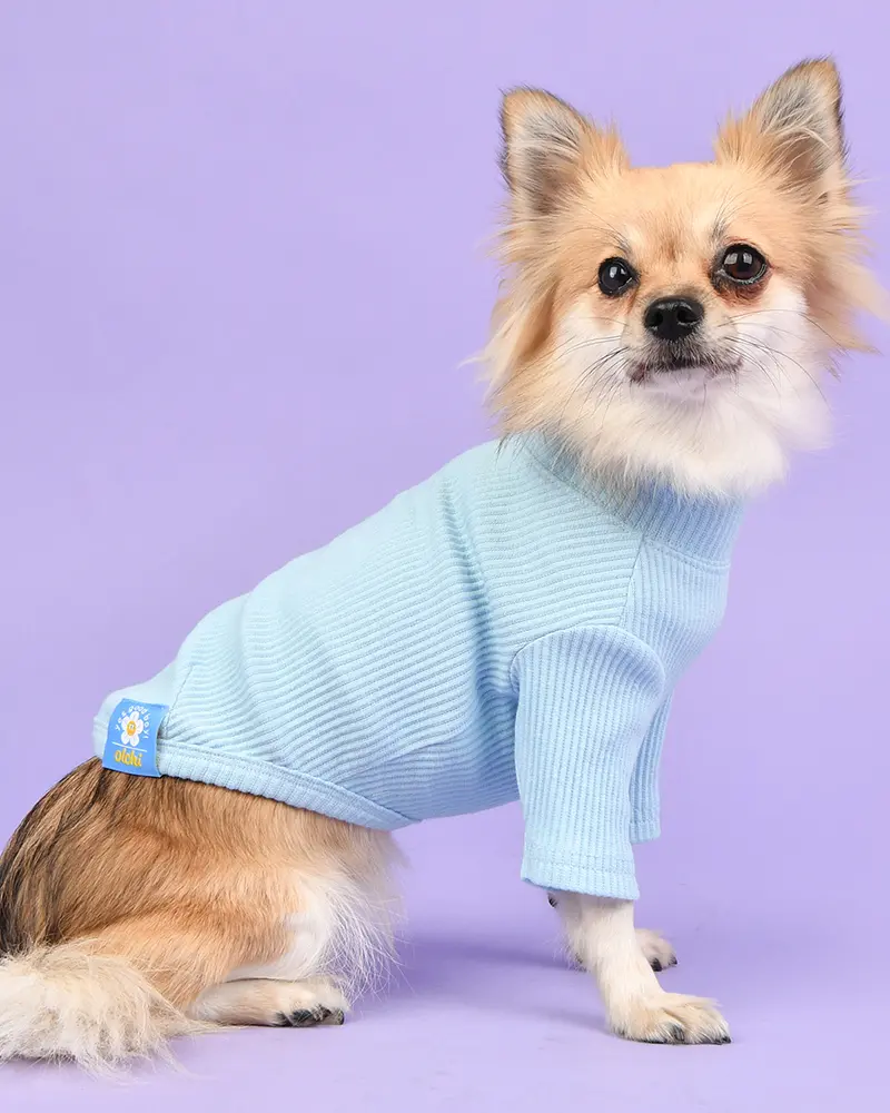 Ribbed Dog Turtleneck Tee In Light Blue 1