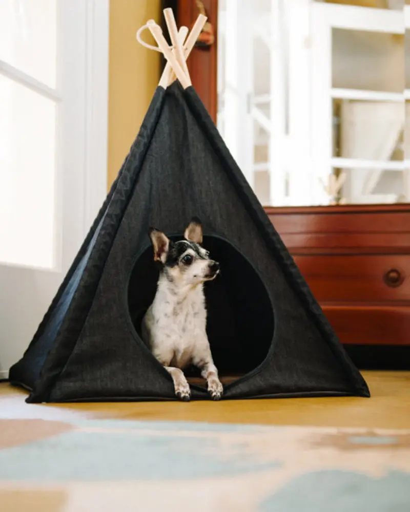 Denim Pet Teepee (Direct-Ship) 1