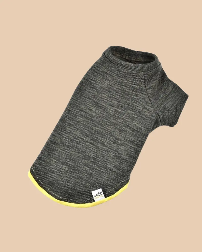 Knit Dog Sweater In Khaki Green W/ Yellow Trim (Made In Spain) (Final Sale) 2