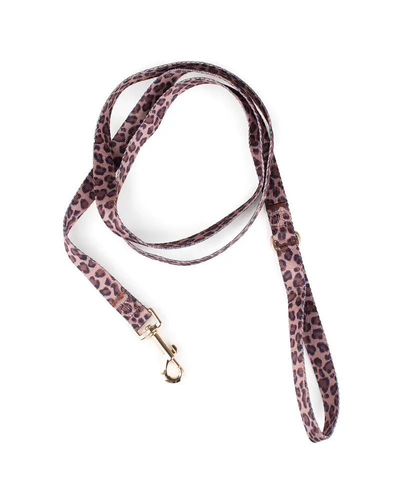 Leopard Dog Leash (Final Sale) 1