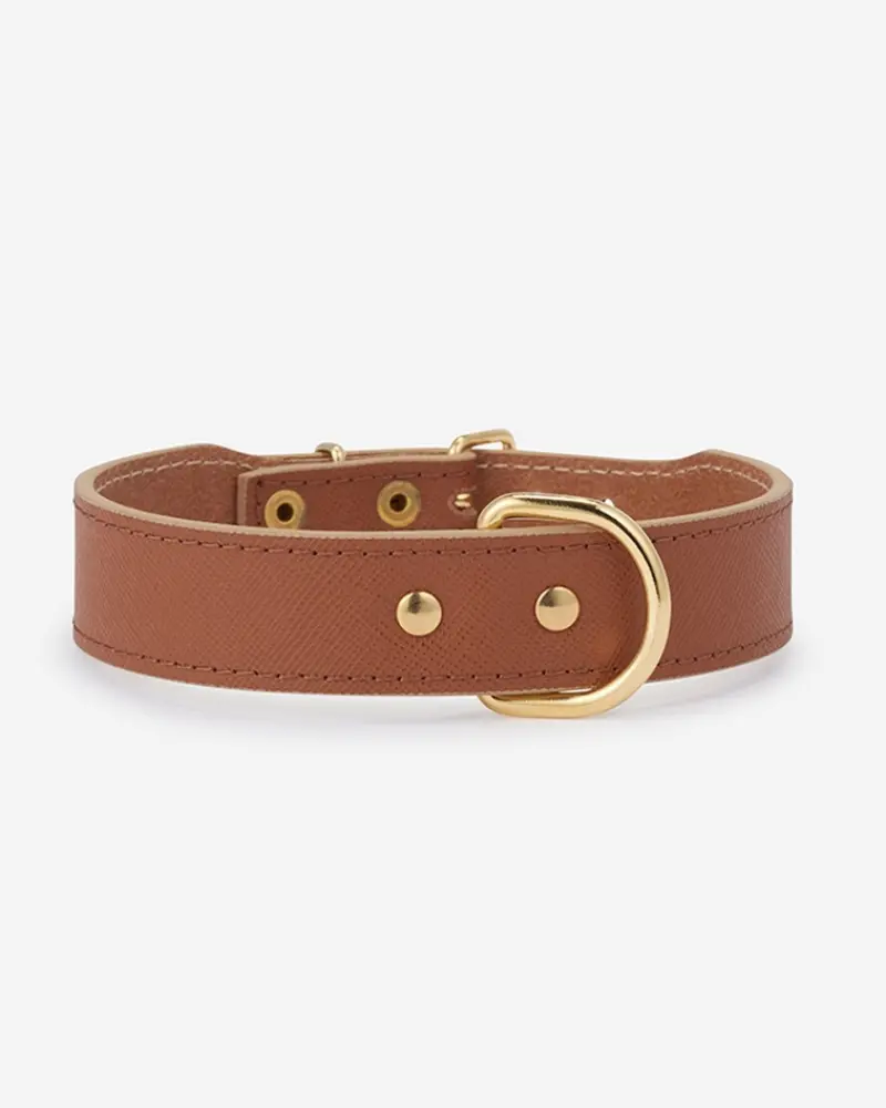 Moni Dog Collar In Cognac Leather (Made In Italy) (Final Sale) 1
