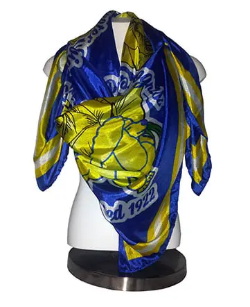Sigma Gamma Rho Silk Scarf 1