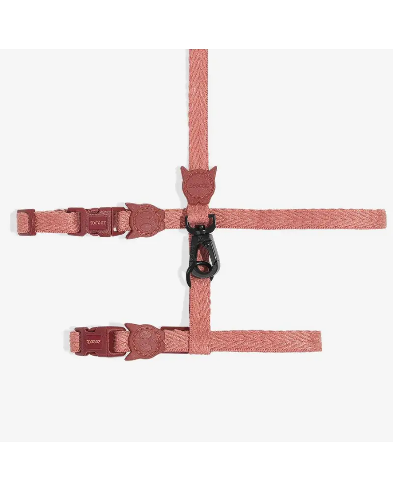 Cat Harness With Leash In Canyon 1