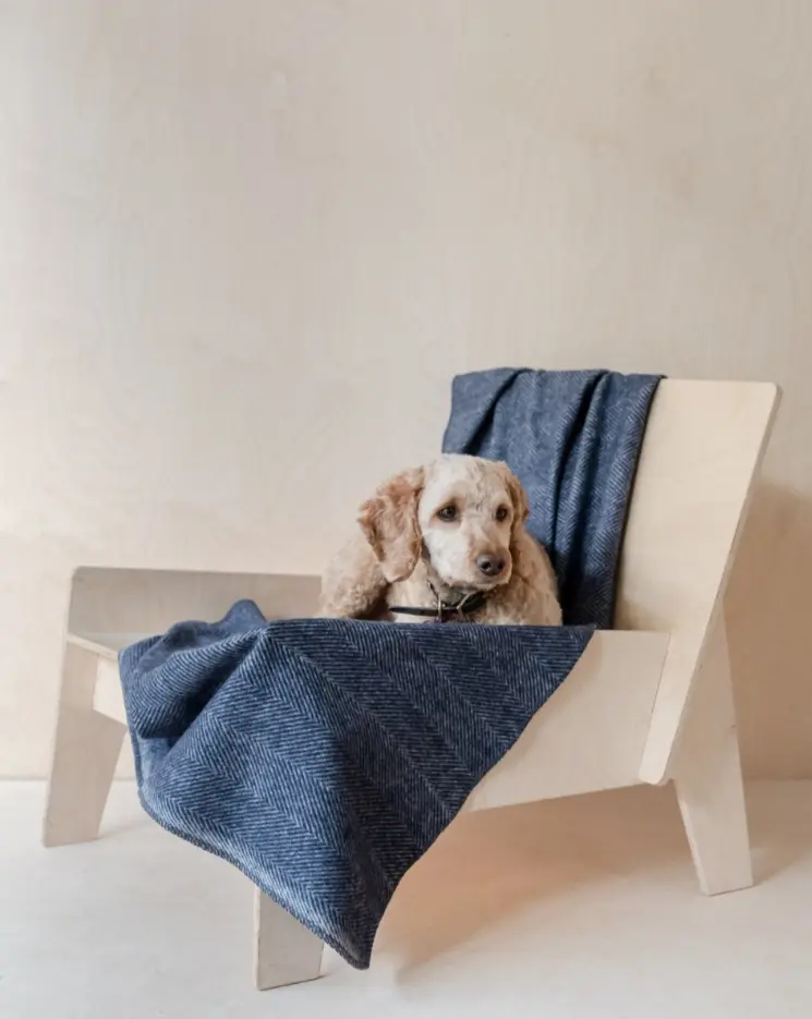 Recycled Wool Pet Blanket In Navy Herringbone (Final Sale) 1
