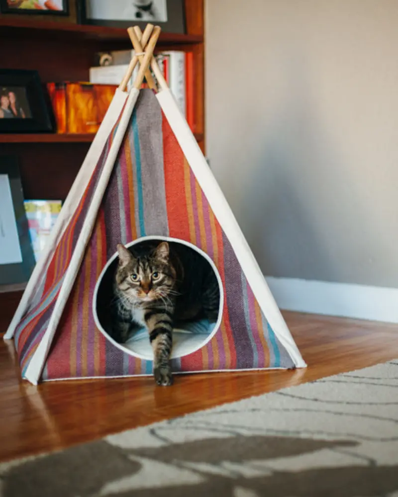 Horizon Pet Teepee In Desert Stripe (Drop-Ship) 1