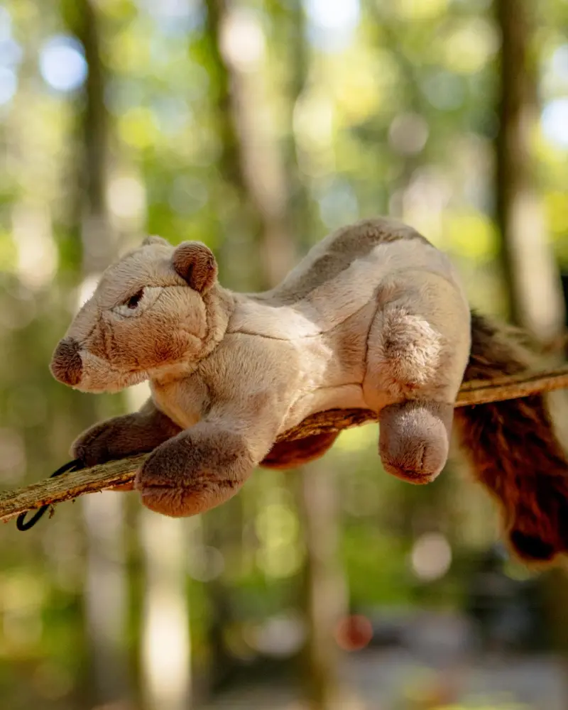 Peanut The Squirrel Squeaky Dog Plush Toy 1