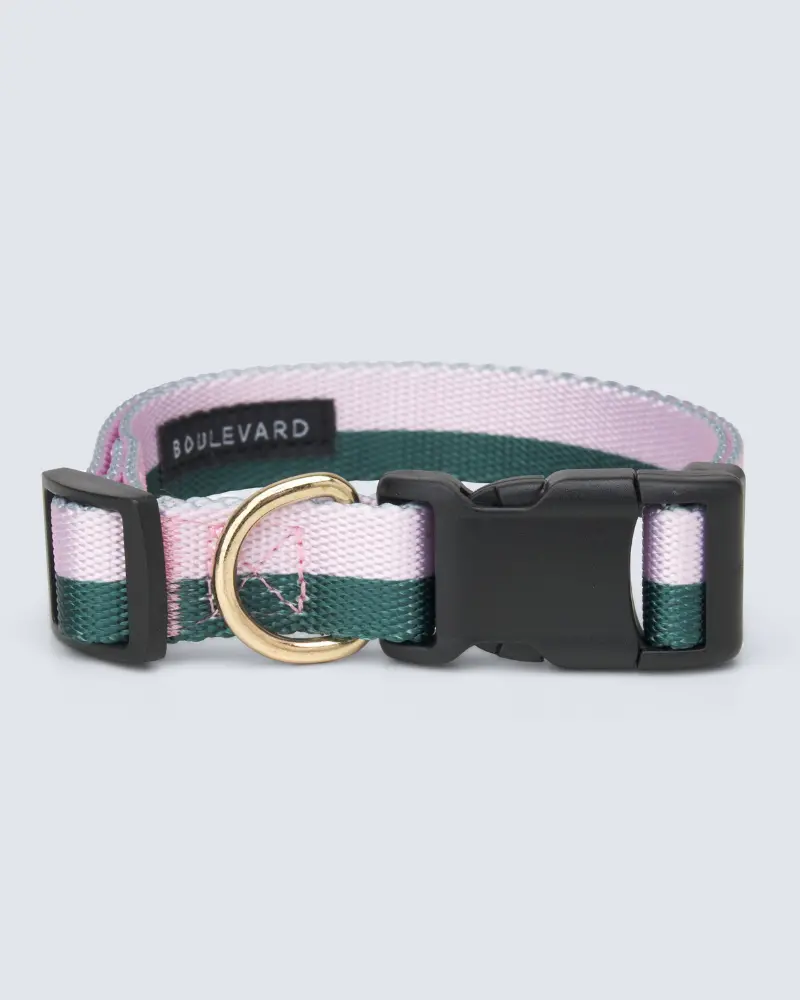 Hunter + Blush Stripe Adjustable Dog Collar (Final Sale) 1