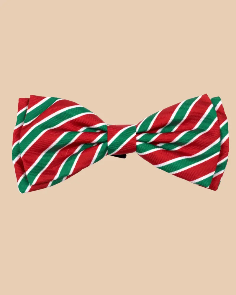 Dignified Dog Bow Tie In Holiday Stripe << Final Sale >> 1