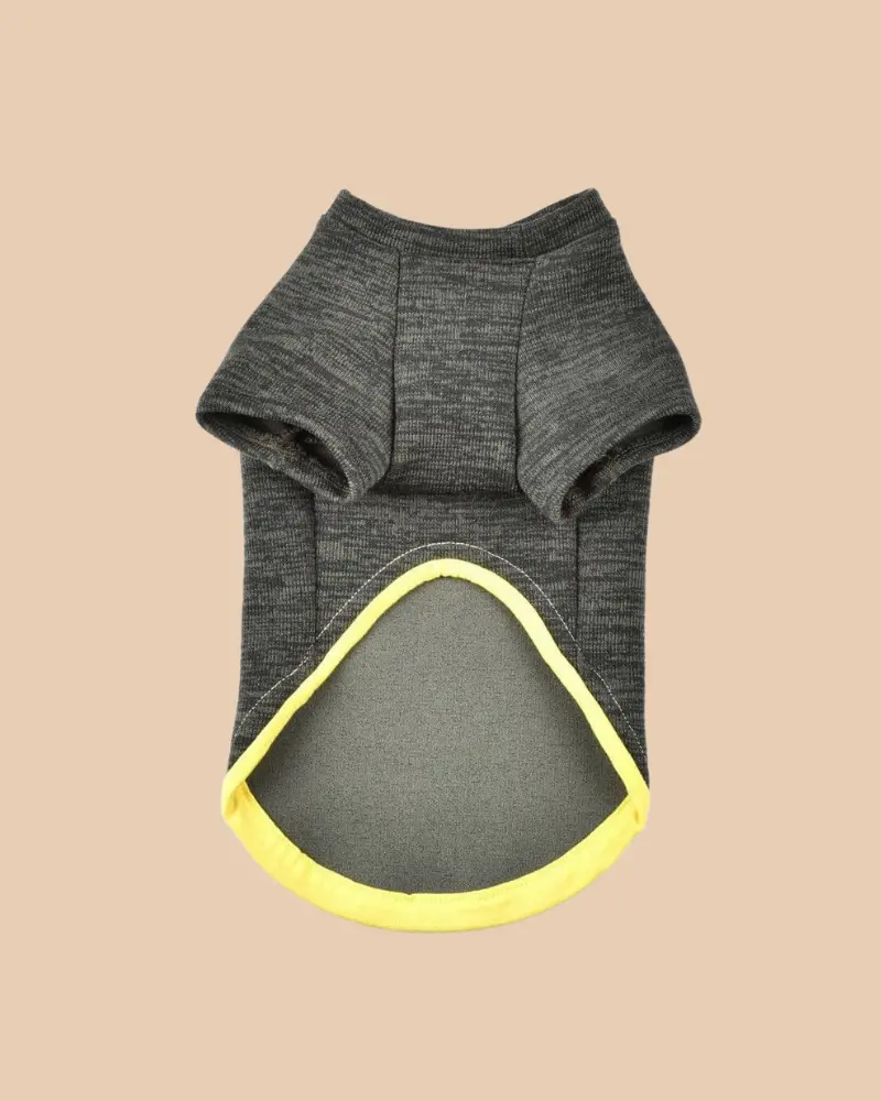 Knit Dog Sweater In Khaki Green W/ Yellow Trim (Made In Spain) (Final Sale) 3