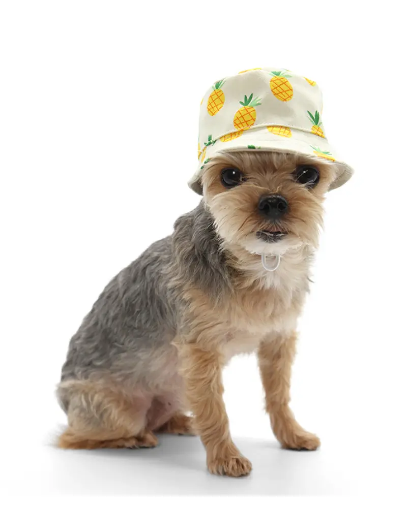 Pineapple Bucket Hat For Dogs 1