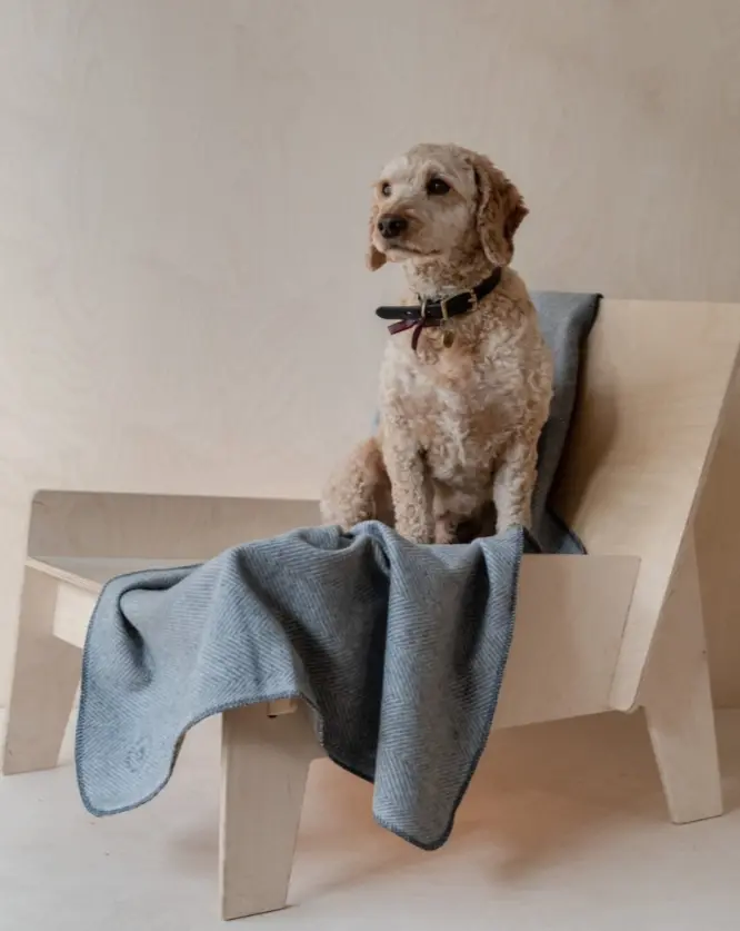 Recycled Wool Pet Blanket In Charcoal Herringbone 1