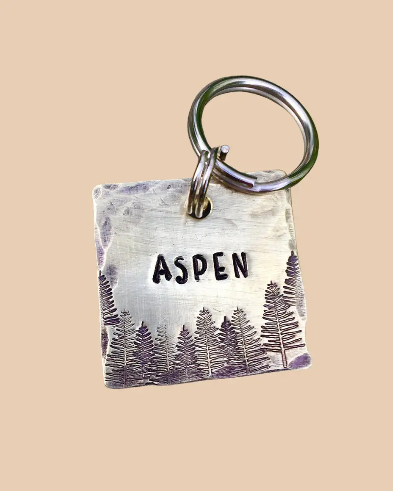 Aspen Custom Dog Id Tag (Custom/Drop-Ship) (Made In The Usa) 4