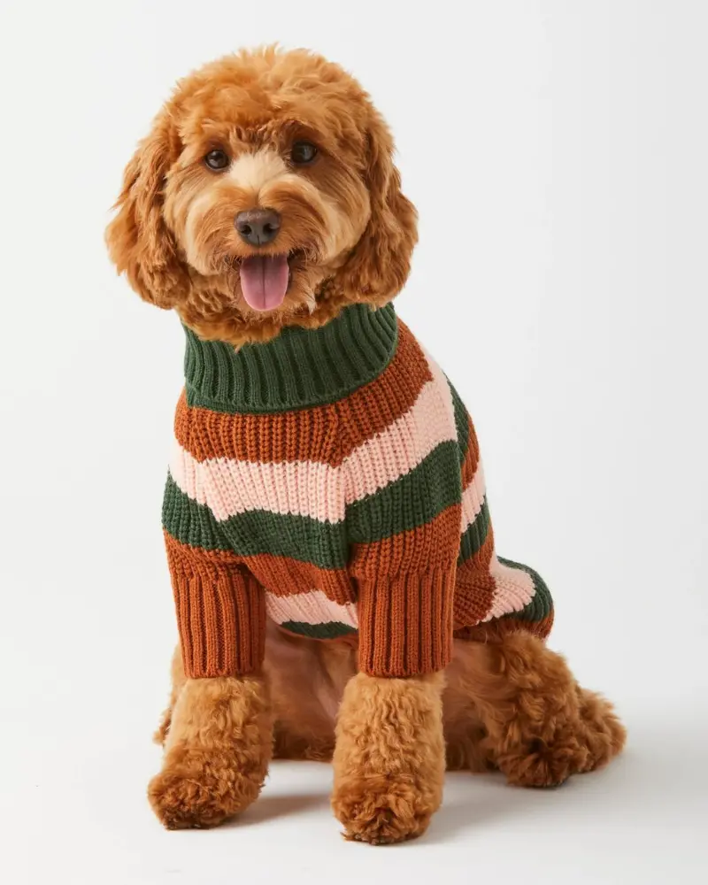 Bold Stripe Dog Sweater (Final Sale) 1