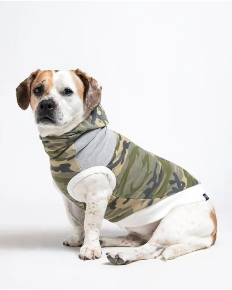 The Cadet Cotton Camo Hoodie For Long Dogs (Made In The Usa) << Final Sale >> 1