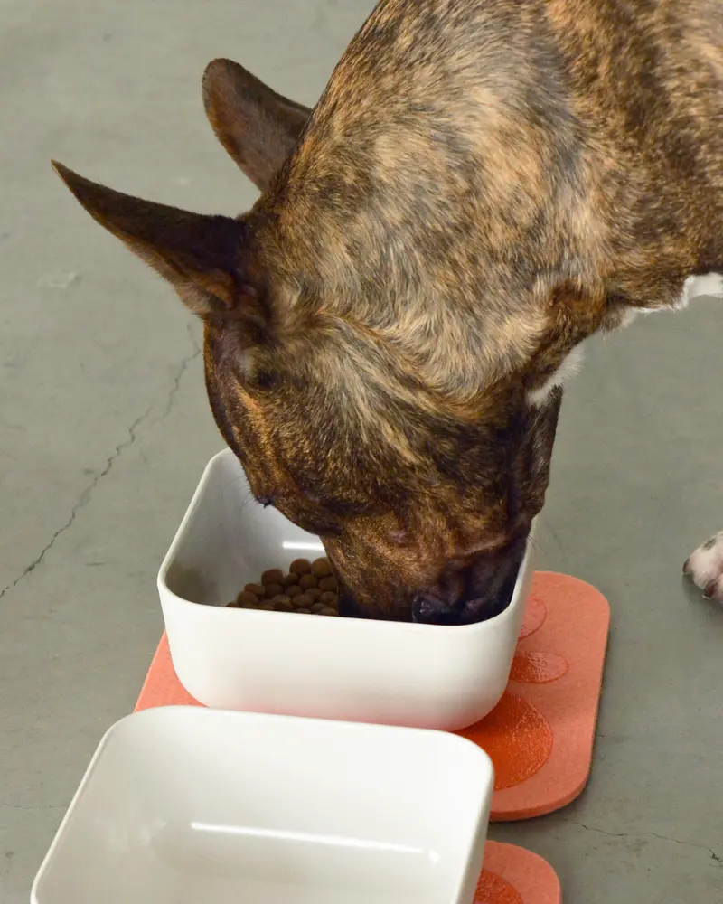The Bamboo Fiber Puppy Pantry Bowl Set (Clearance) 1