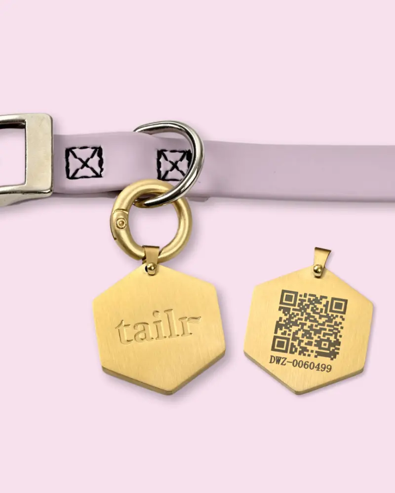 Tailr Qr Id Tag For Pets (Classic Hanging Tag) (Final Sale) 1