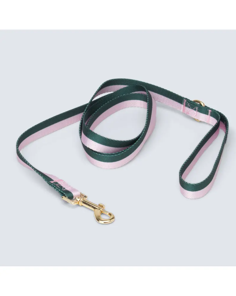 Hunter + Blush Stripe Dog Leash (Final Sale) 1