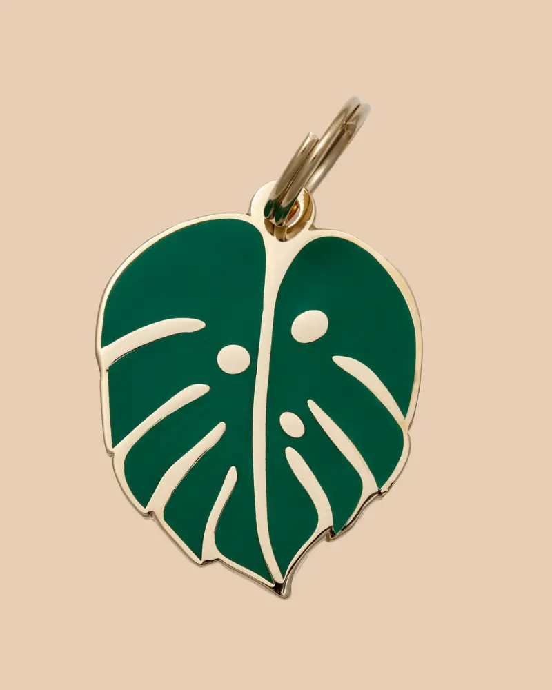 Monstera Deliciosa Id Tag (Custom/Drop-Ship) 1