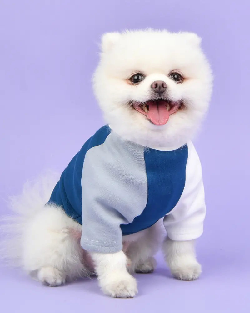 Color Block Dog T-Shirt In Navy (Final Sale) 1