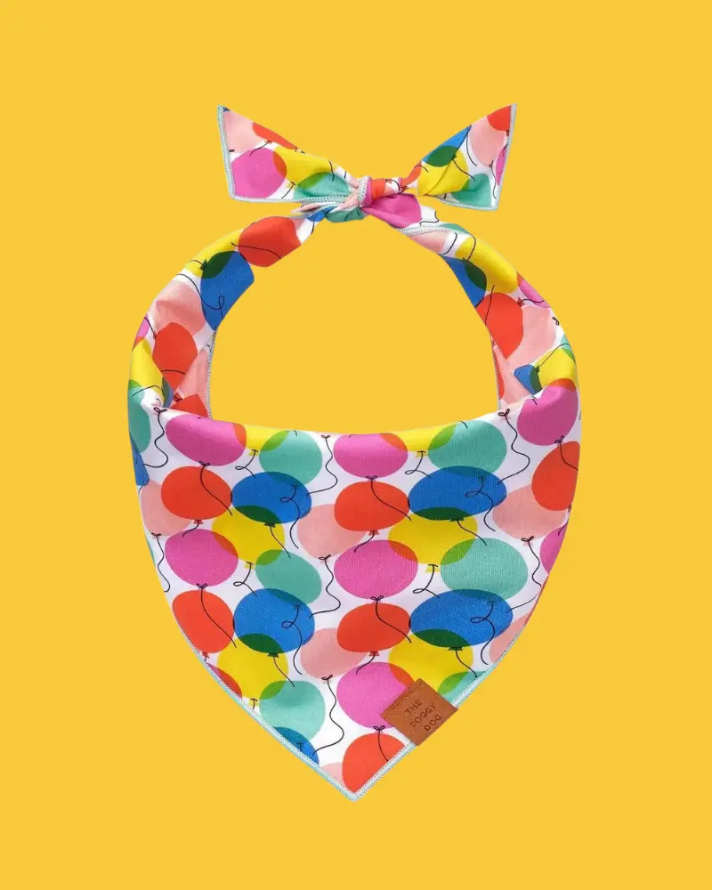 Pup, Pup, And Away Birthday Dog Bandana (Made In The Usa) 1