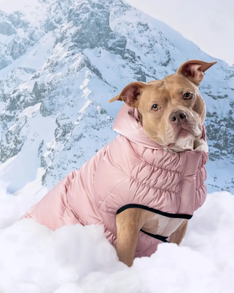Lunar Glow Dog Parka In Pink 1