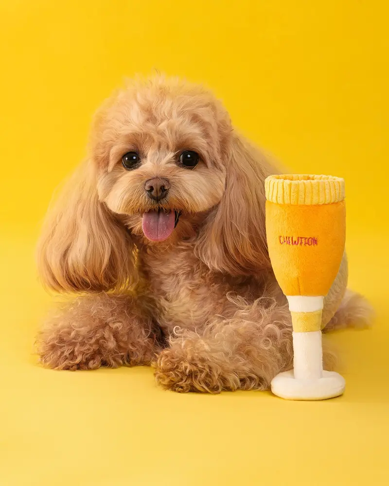 Pawsecco Squeaky Dog Toy 1