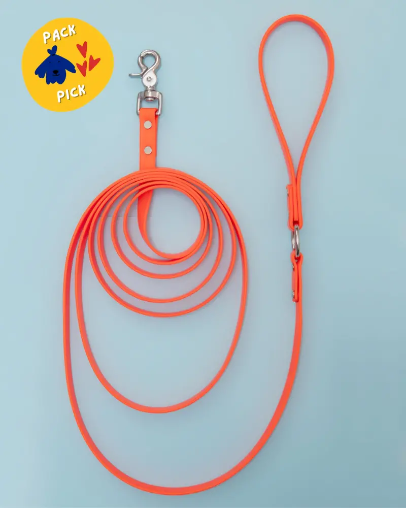 Weekend Long Leash In Neon Orange (10 Or 20 Foot) (Made In The Usa) 1