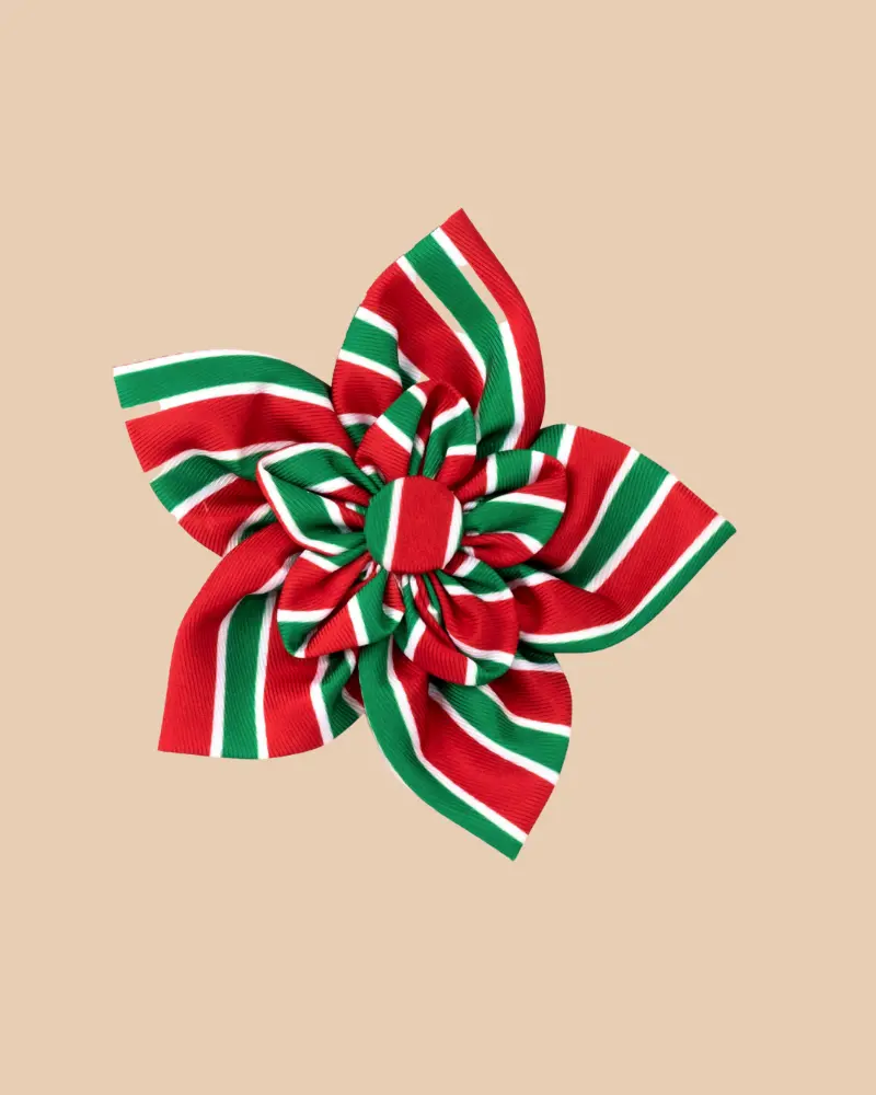 Christmas Collar/Harness Flower In Holiday Stripe << Final Sale >> 1