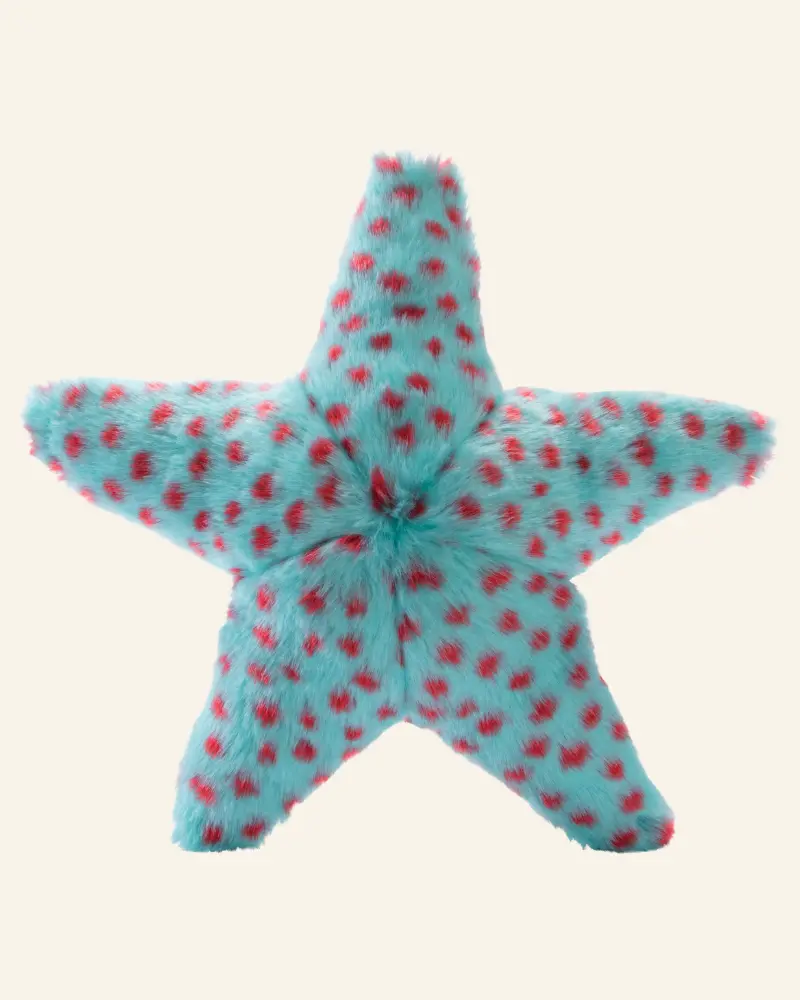 Ally The Starfish Crinkle Plush Dog Toy (Final Sale) 1