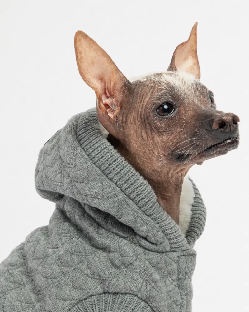 Maxwell Grey Dog Sweater Hoodie<Br>((Final Sale)) 1
