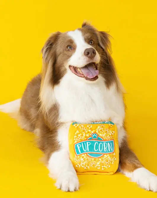 Pupcorn Crinkle + Squeak Plush Dog Toy (Final Sale) 1