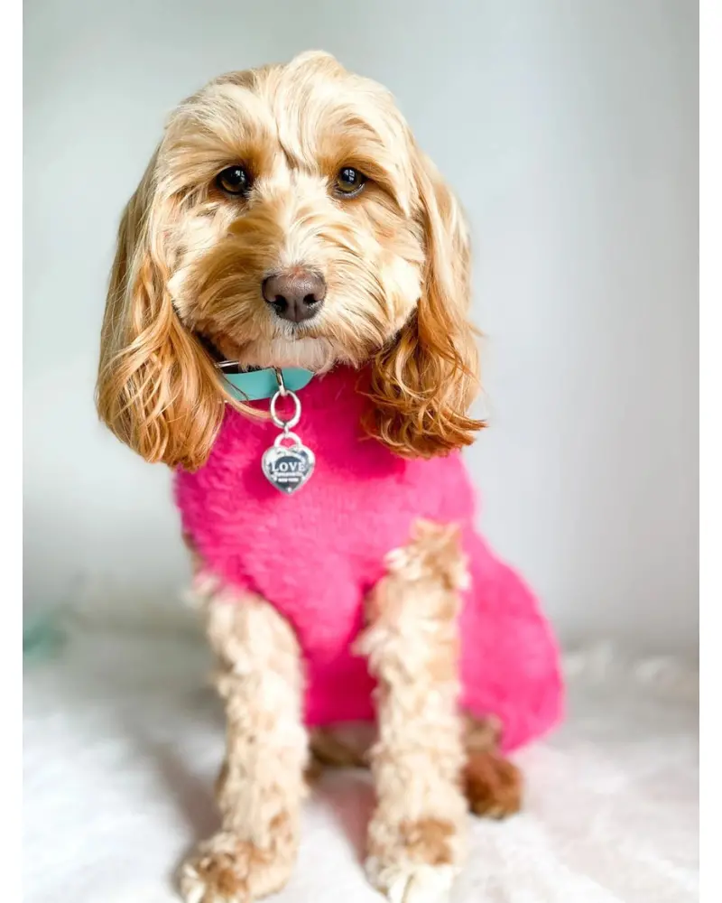 Hot Pink Fluffy Dog Sweater (Final Sale) 1
