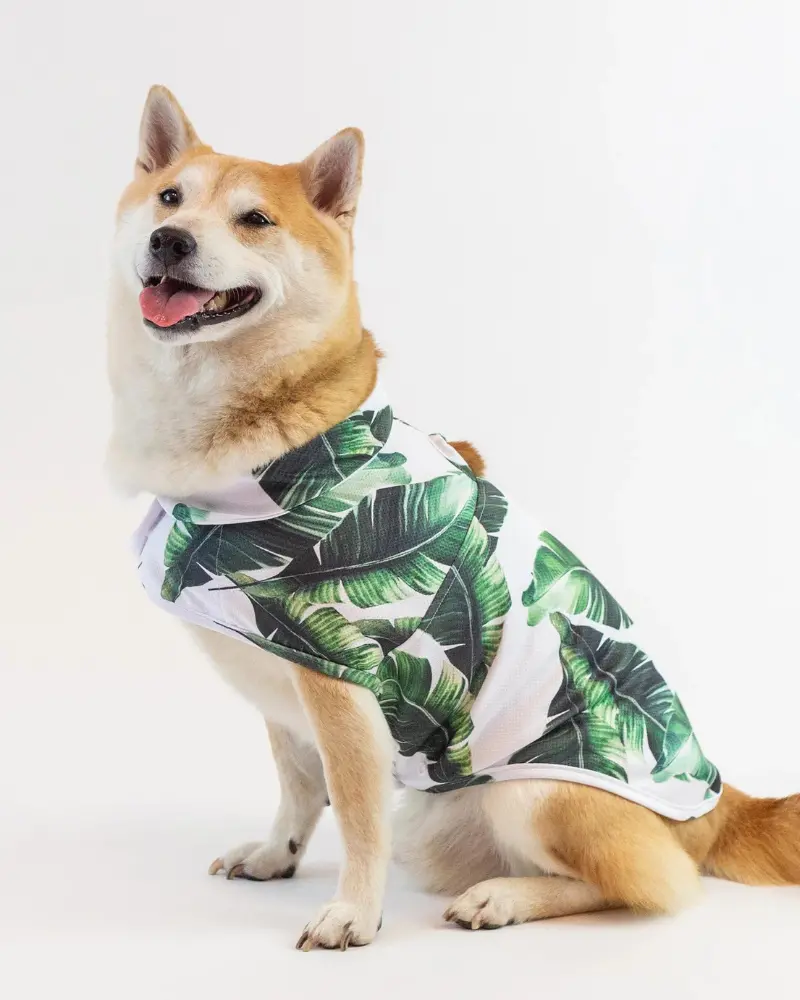 Marseille Dog Cooling Jacket (Final Sale) 1