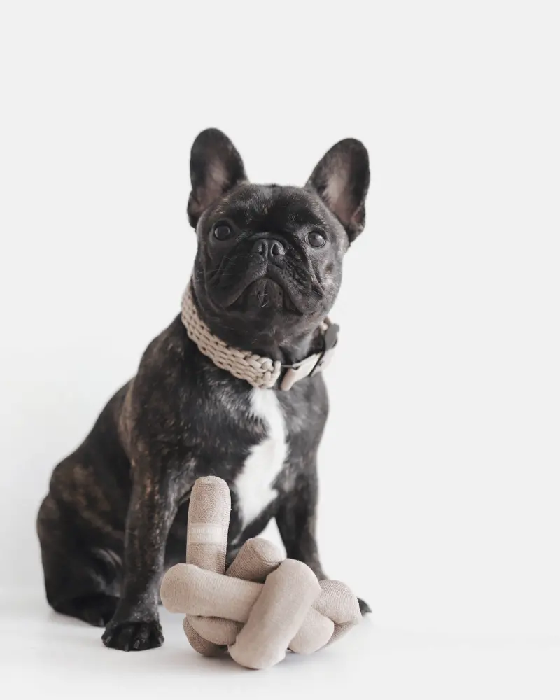 Nounou Interactive Dog Toy In Tan 1