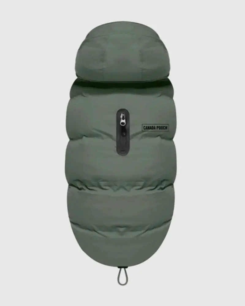 Waterproof Dog Puffer In Forest Green (Final Sale) 1