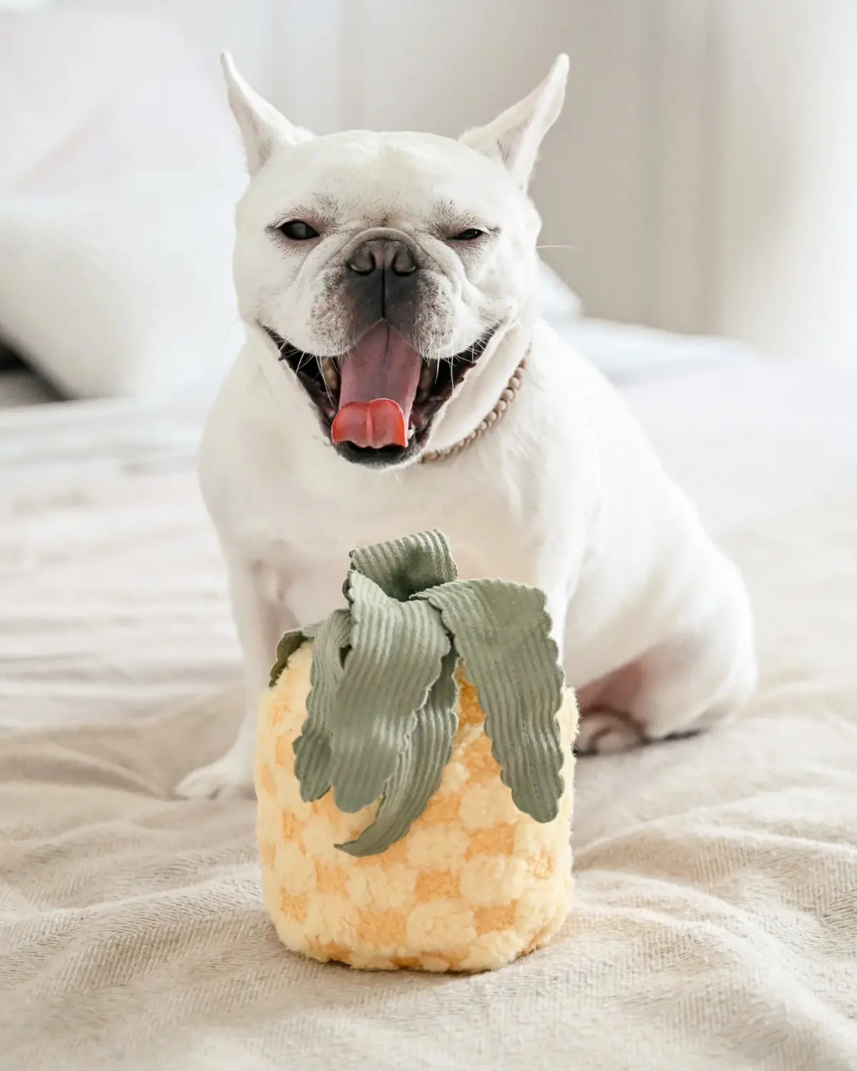Pineapple Enrichment Plush Dog Toy 1