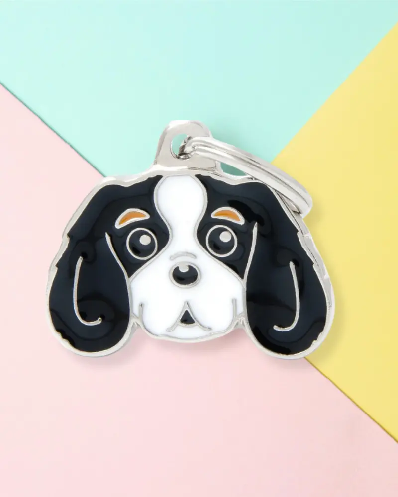 King Of The Cavaliers Custom Pet Id Tag 1