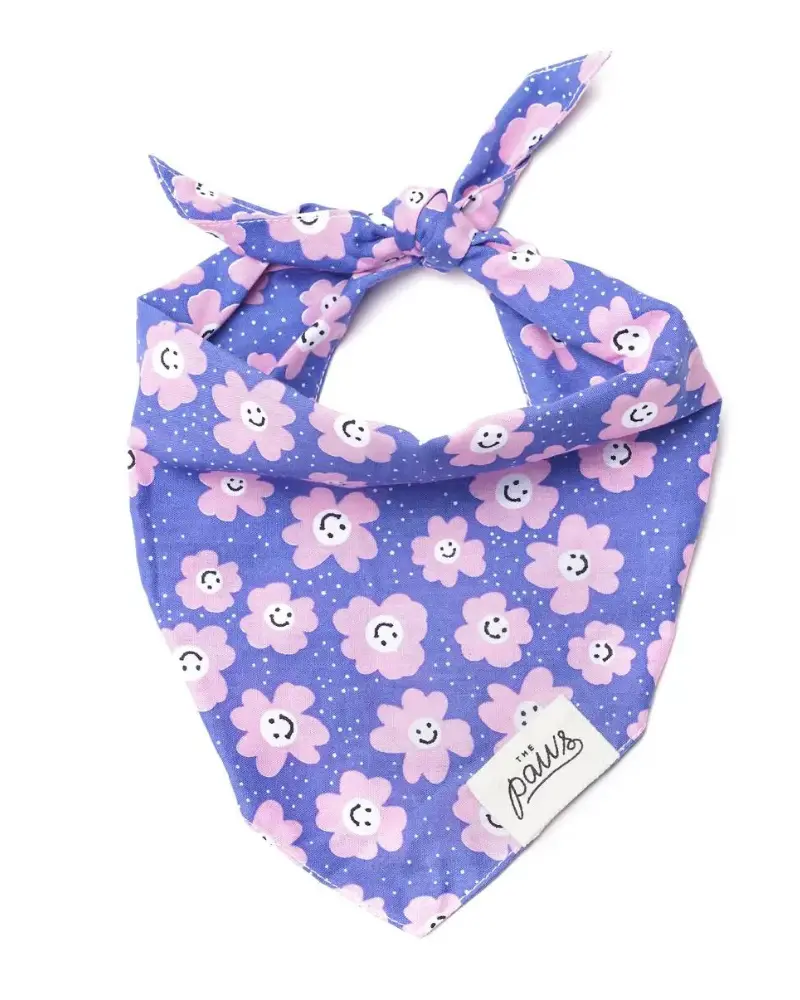 Ditzy Daisies Pink + Purple Dog Bandana (Clearance) 1