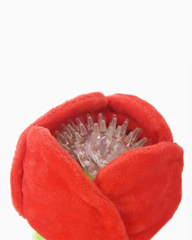 Woof Love Rose Squeaker Dog Toy 2