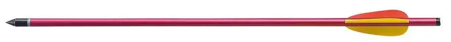 16-Inch Aluminum Arrow 1