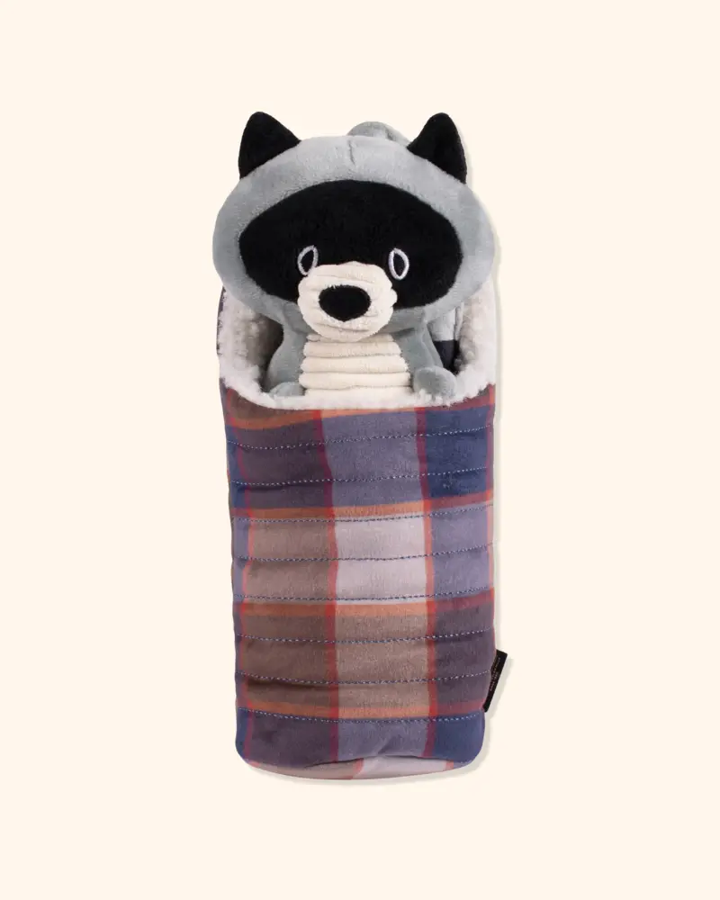 Racoon Camp Pal Crinkle & Squeaker Dog Toy 1
