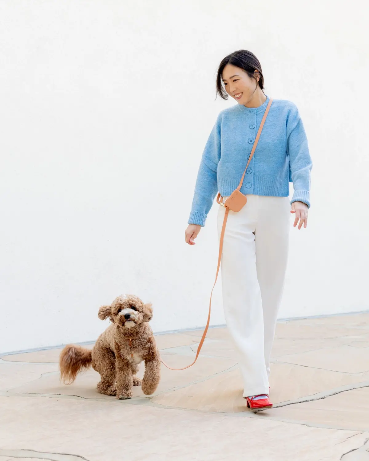 4-In-1 Convertible Hands Free Dog Leash In Chai Brown 1