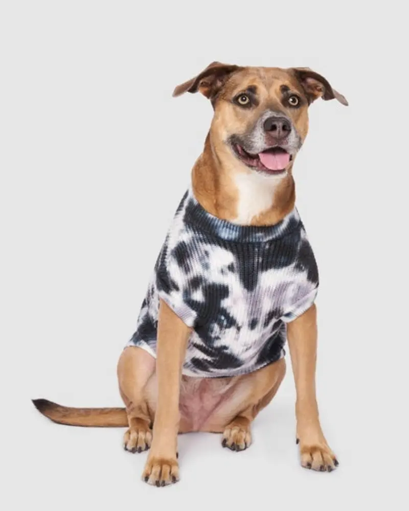 Wild Side Tie-Dye Dog Sweater << Final Sale >> 1