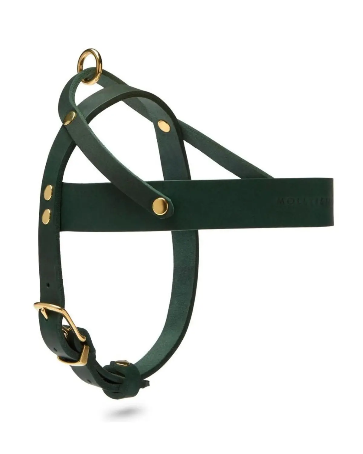 Butter Leather Dog Harness In Forest Green (Made In Austria) 1