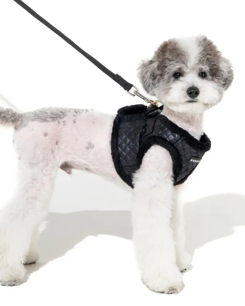 Douglas Quilted Vest Harness In Beige Or Black 1