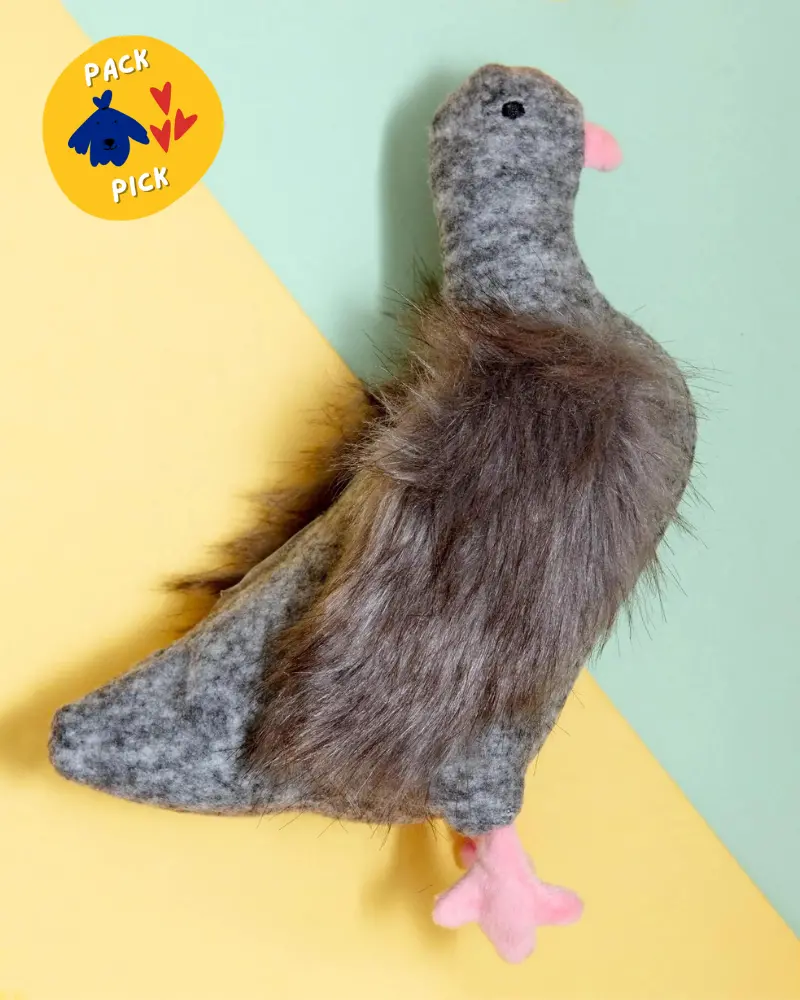 Pecky Pigeon Squeaky Dog Toy 1